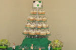 I made this cupcake tower for 5 med school graduates that were having a graduation party.